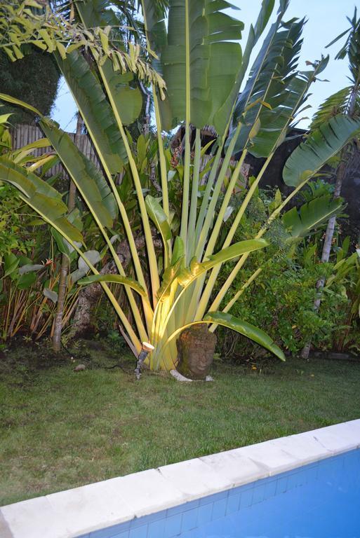 Villa Raquel Seminyak  Phòng bức ảnh